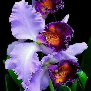 Meet your Posher, Tania